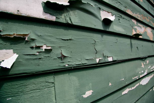 Blue Point, NY Junk Removal Company