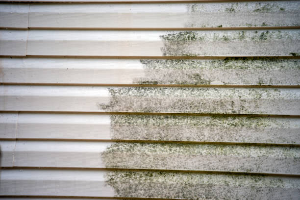 Best Moving and Downsizing Cleanouts  in Blue Point, NY