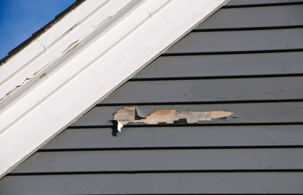Best Hoarding Cleanup  in Blue Point, NY